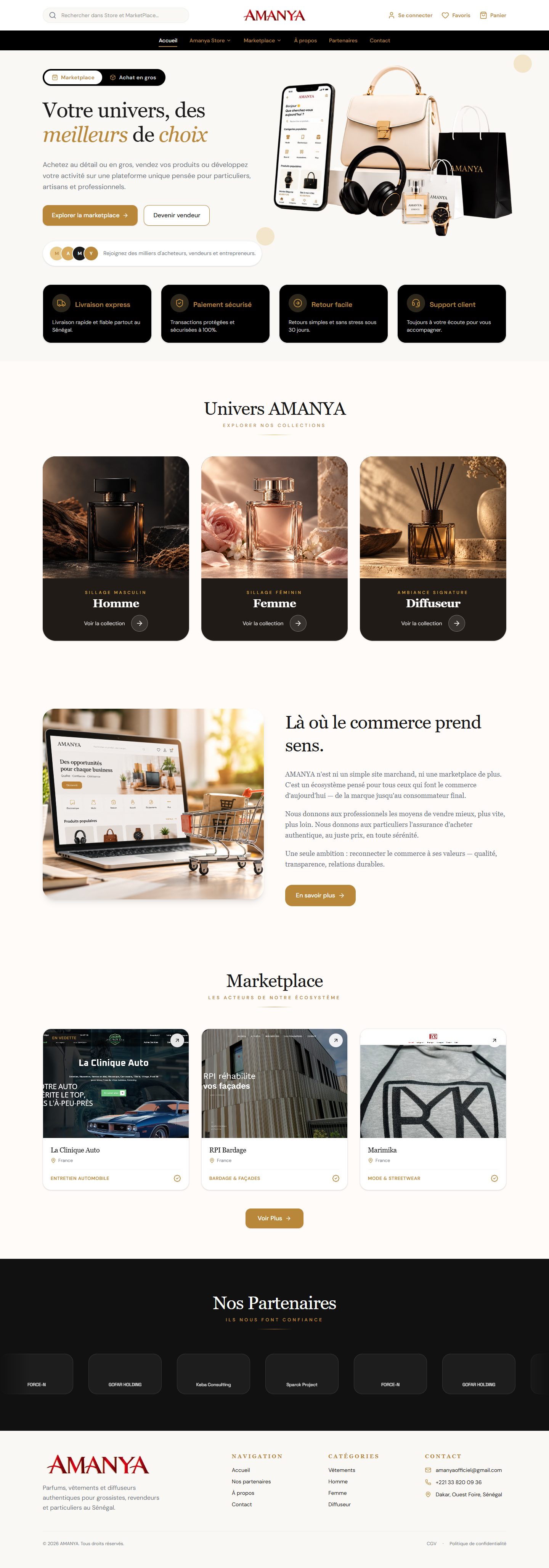 Aperçu du site Amanya Distribution