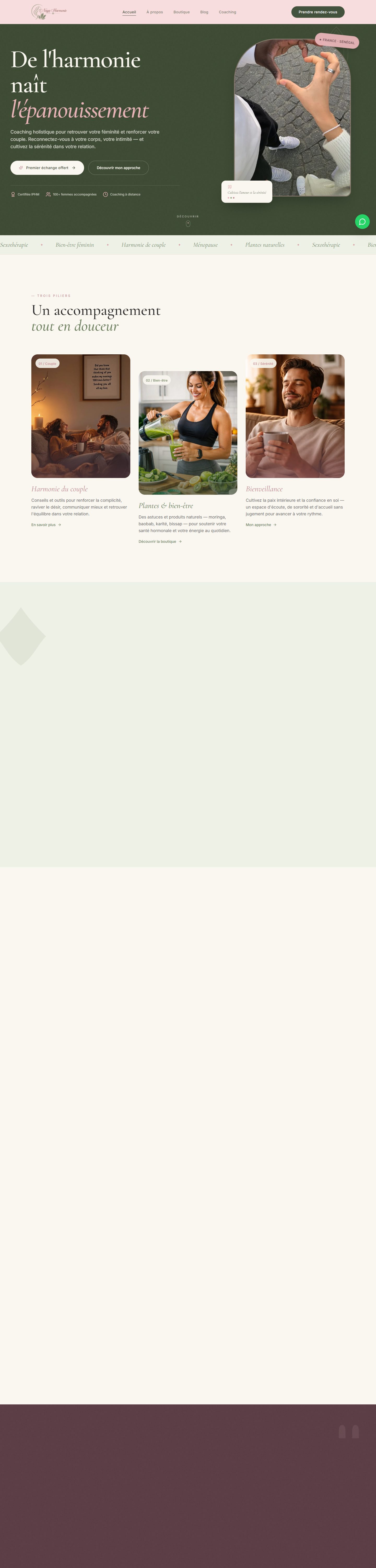 Aperçu du site Naya Harmonie